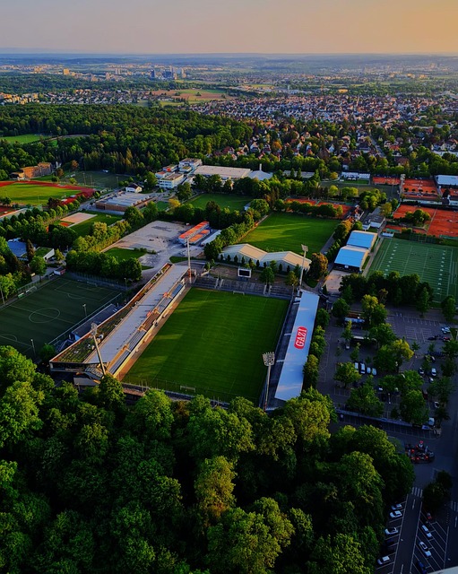 比赛胜负往 比赛胜负往