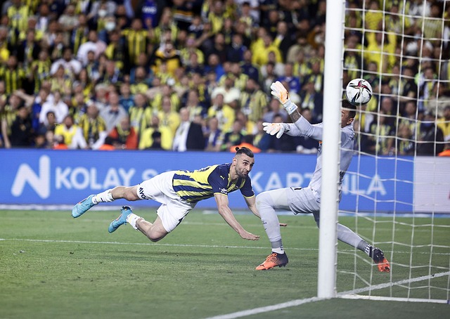 替代拉波尔 替代拉波尔