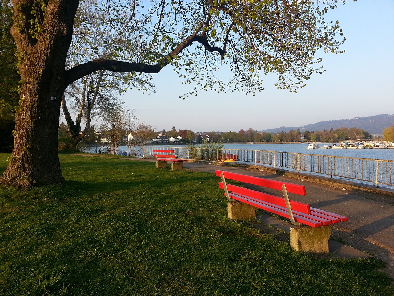 球被判有效 球被判有效