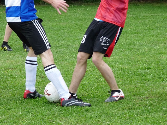 借助自己灵 借助自己灵