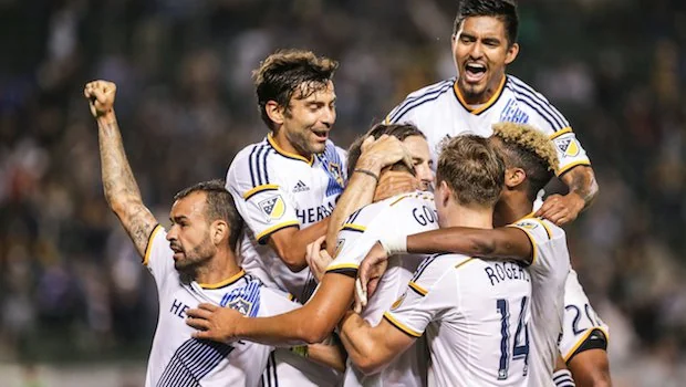 让我们从自 让我们从自