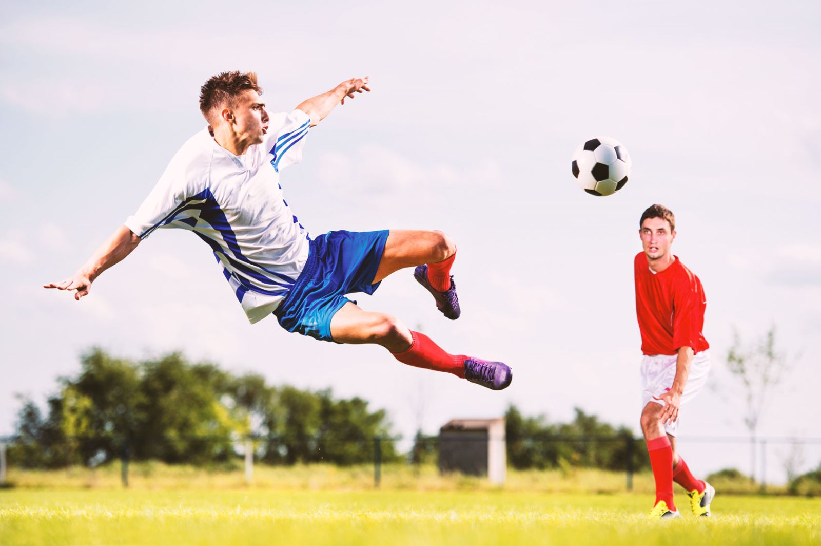 仅体现了主 仅体现了主