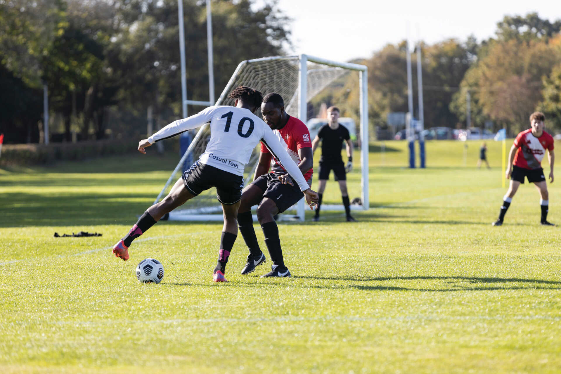 他将再次联 他将再次联