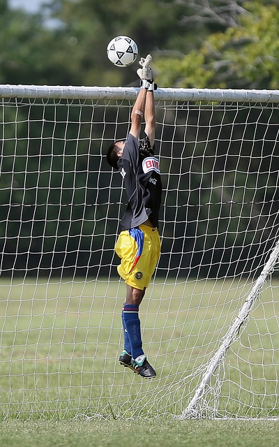 手将在攻防 手将在攻防