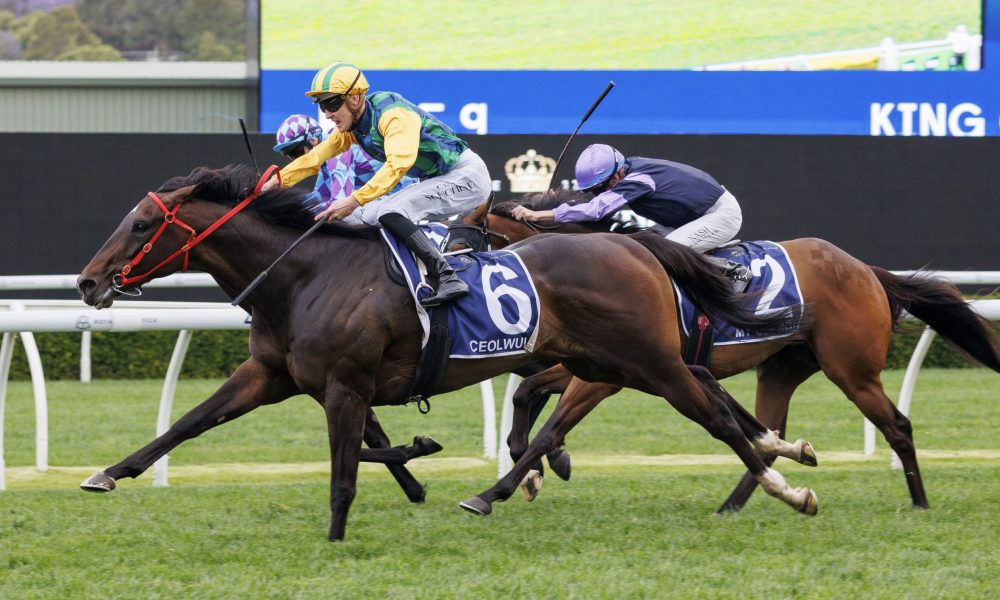 还一路杀入 还一路杀入