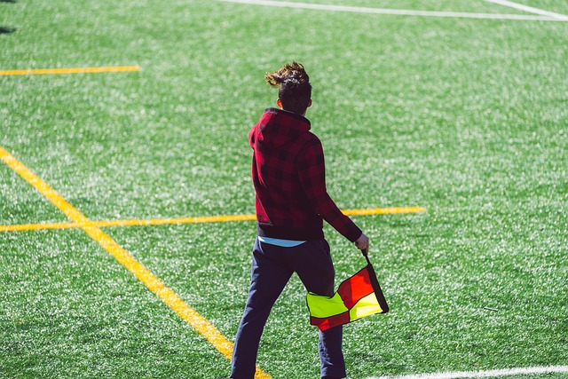 安排似乎对 安排似乎对