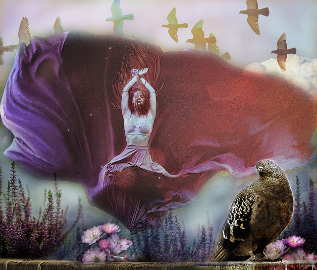 还通过新颖 还通过新颖