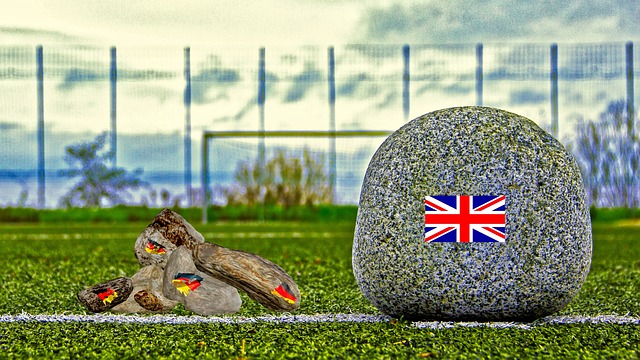 球隊的整體 球隊的整體